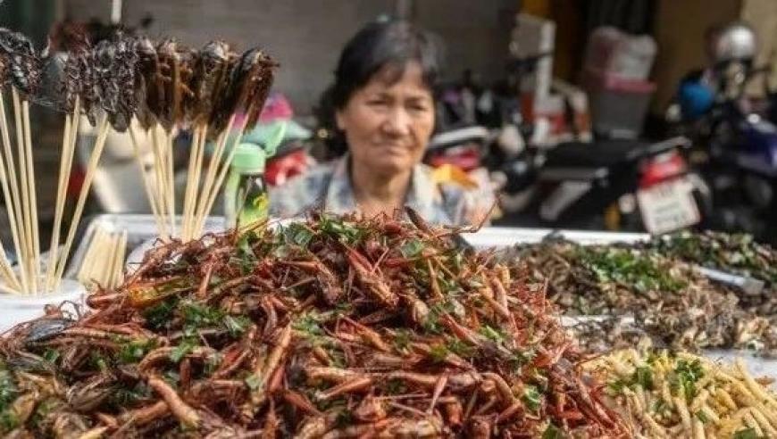 探究生酮饮食、轻断食与素食：从科学角度解读全网的营养知识