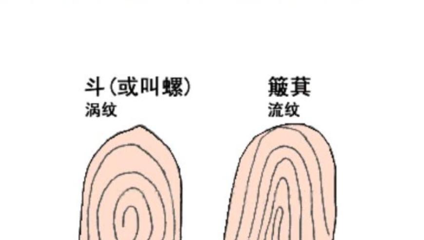 鼠标中藏着数字秘密：你知道有多少个螺和簸箕吗?