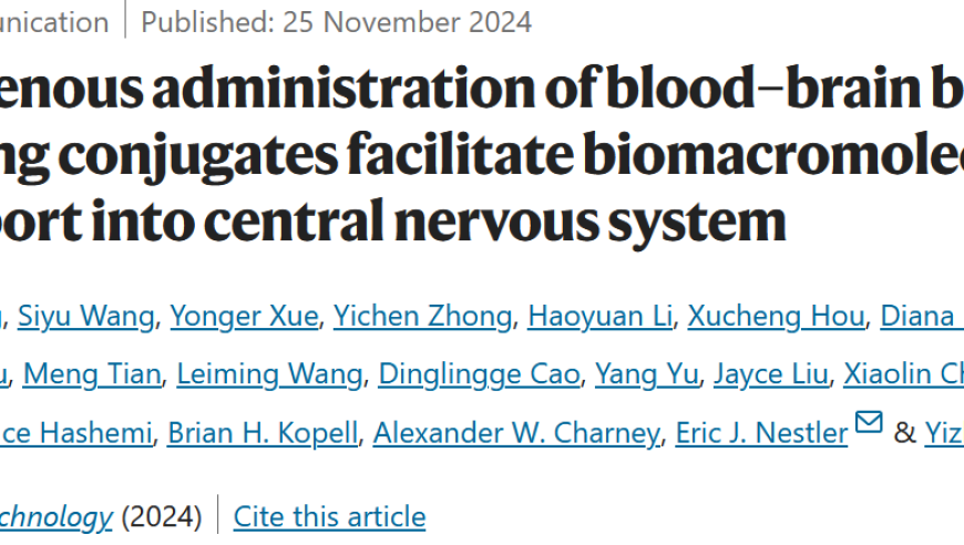 递送重大分子疗法穿越血脑屏障，新偶联物有望解开脑研究之谜