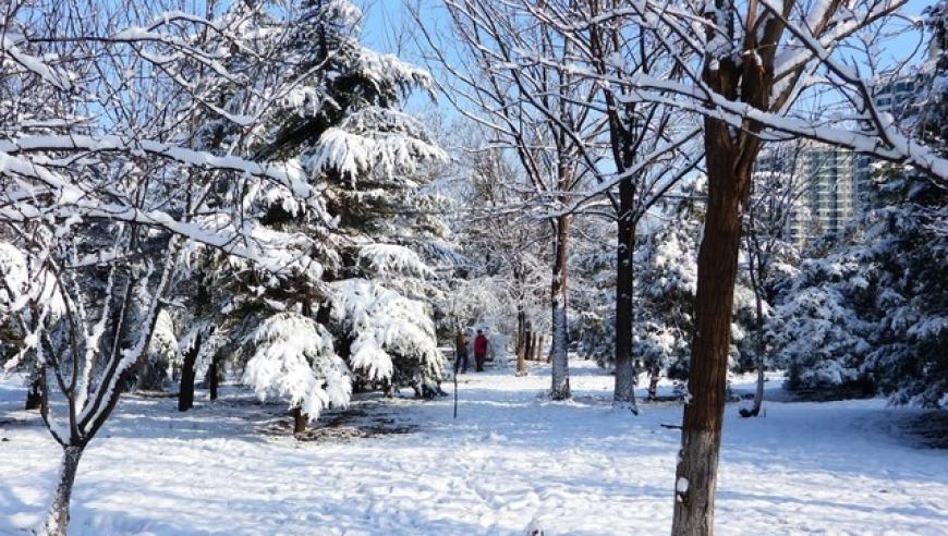 12月6日大雪引发关注：三个独特之处及背后的深意