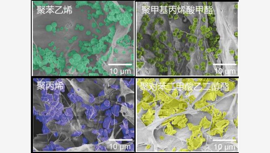 我国科研团队成功研发新型高效去除水中99.8%微塑料的材料