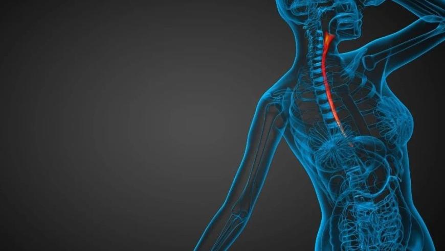 食管癌、胃癌与结直肠癌：早期筛查策略的全面解析

希望这能帮到您！如果您还有其他问题或需要帮助，请随时告诉我。