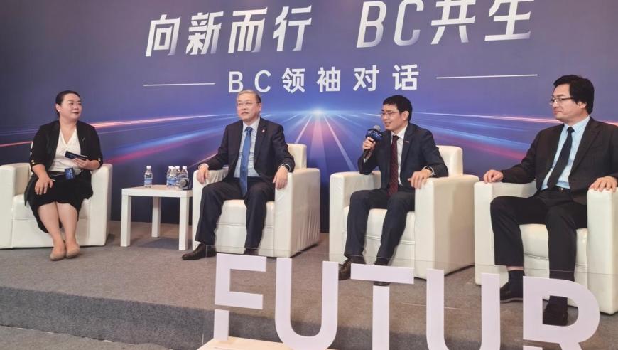 BC时代真的到来：探索光伏发电技术的变革与争议