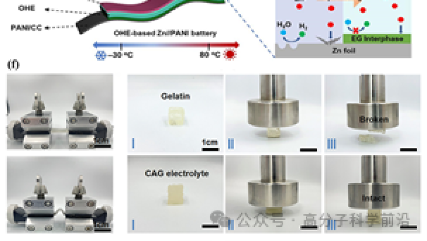 山东大学和青岛大学科研团队：解析AFM（Advantage Framework Membrane）中的生物基聚合物凝胶电解质：进展与未来

前沿技术解析：AFM中的生物基聚合物凝胶电解质，先进锌离子电池领域的研究进展与展望

探索新的视角：解读AFM（Advantage Framework Membrane）中基于生物基聚合物凝胶电解质的研究成果，引领电化学储能的新时代

掌握未来关键：解读最新的AFM（Advantage Framework Membrane）研究及其在先进锌离子电池领域的影响与前景