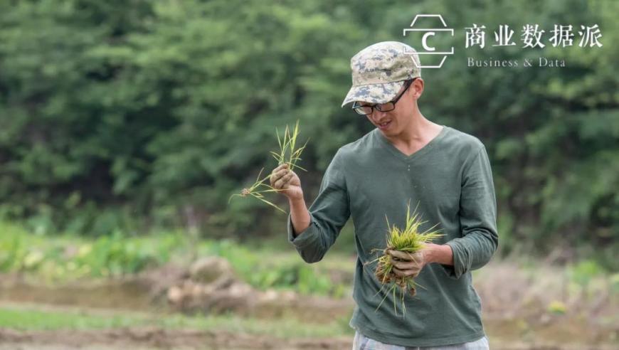 无人值守的智能农场：我在AI的帮助下卖大米