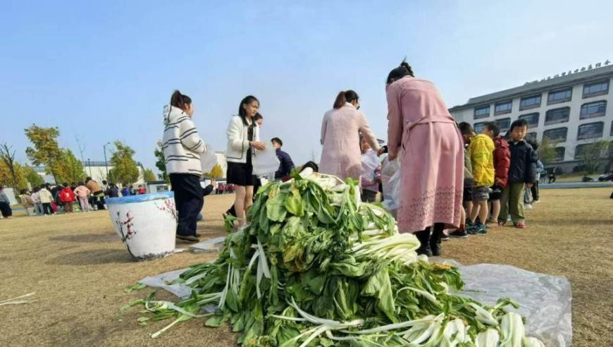 杭州一群孩子：大雪时节的冬腌菜经验分享