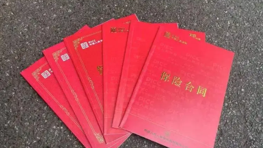 为何网编每年收入仅为2800，却能购买77万元保险与英伟达被捕？