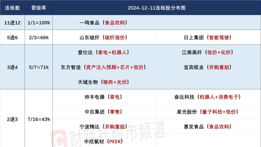 12月11日连板股揭秘：低价股大面积爆发，豆包AI概念全面发酵