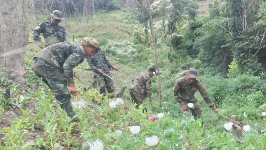 缅甸反洗钱成效显著：连续两年全球首位，民众热烈欢迎第一归属感