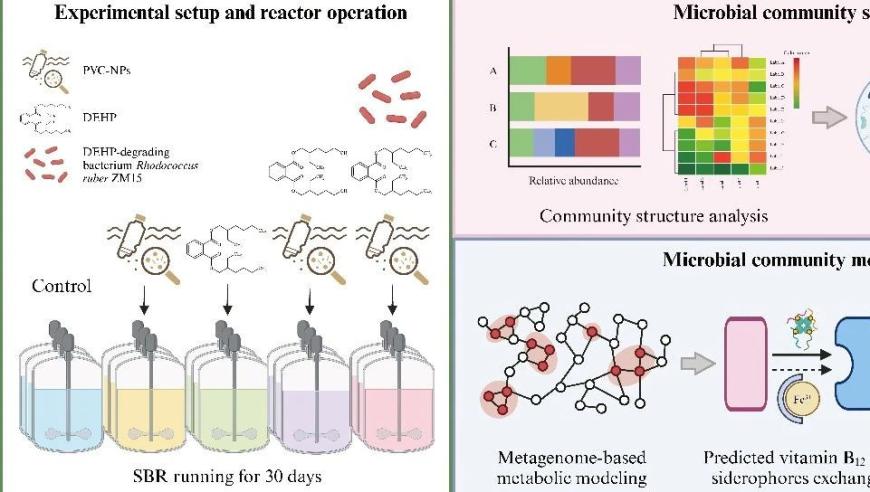 浙江大学吕镇梅课题组揭示：水处理过程中的塑料污染对微生物代谢的相互作用机制研究