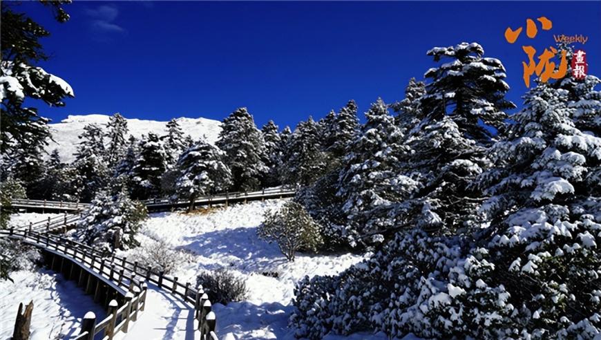 宕昌县：雪花纷飞，官鹅沟瞬间宛如仙境