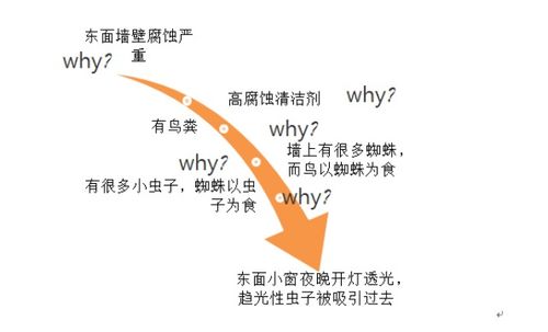 汉江游泳思维：21篇深度解析与实践