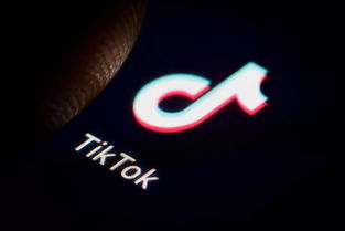 TikTok的禁令噩梦才刚刚开始：官方回应与用户担忧