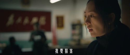 《微暗之火》：一部深藏在爱情背后的伦理与谋杀故事