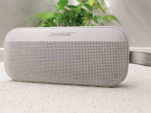 揭秘Bose SoundLink Flex：与苹果音箱的究竟谁更胜一筹？