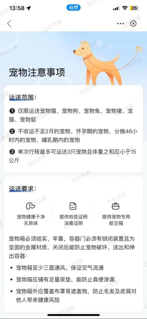 哈啰平台回应：托运造成16只猫咪闷死