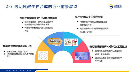 科学家揭示：合成菌将彻底革新化学生产方式