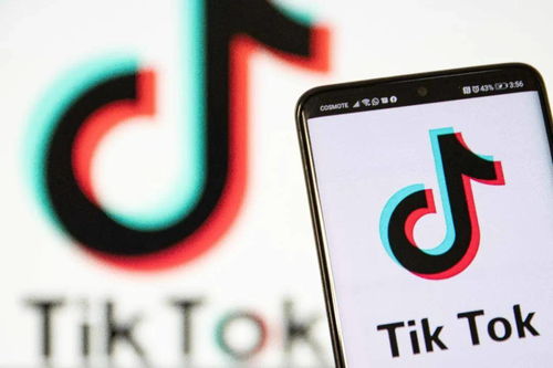 字节跳动：TikTok或将采取法律行动，指控侵权与骚扰