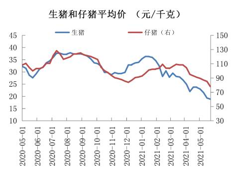 拜登在短时间内批准，美国将大规模抢夺TikTok，民众呼声或将远离权力集团的统治