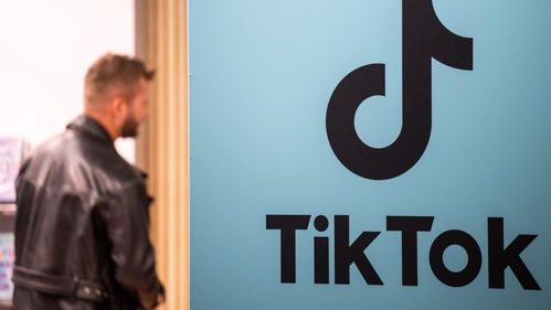 周受资：我们不会放弃 TikTok，在美国面临封禁的危机！