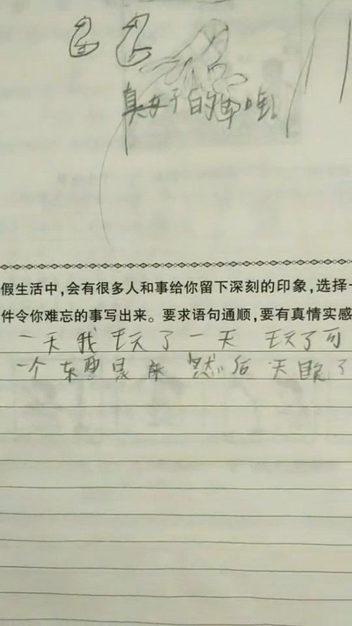 感动至深：被儿子的作文所打动的老母亲