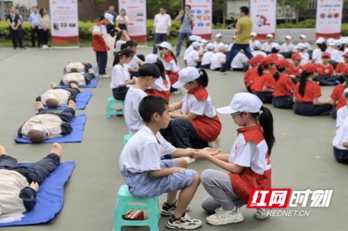 防灾减灾：普通人在面对龙卷风时的生存指南