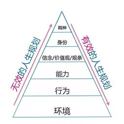 深圳再次刷新人口增长新纪录：背后揭示深层次原因与社会发展轨迹