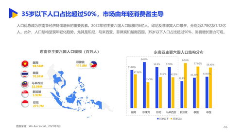 中国出海电商四小龙的惊人增长速度与策略：寻找翻倍增长的方法