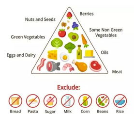 据科学家研究：简单饮食改变可降低10%胆固醇水平