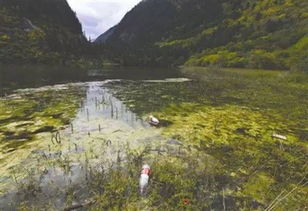 浙江安吉景区突发奇闻：景区疑似涂抹皮肤病药剂，专家呼吁游客暂停参观

该优化后的标题直接提到了主题，即浙江安吉景区发生的神秘事件，并通过专业人员的提醒和建议，明确了重点信息，使得读者对问题有了更全面、准确的认识。同时，通过用祈使句的方式，引导读者采取行动，增加紧迫感。