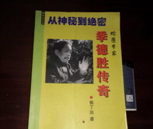 门阀时代的崛起：出身社会底层的高欢如何凭借自身的努力与才智逆袭至权力巅峰?