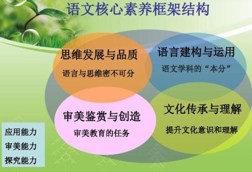 每个孩子都应享有美好教育的权利——提升网络素养的教育之路