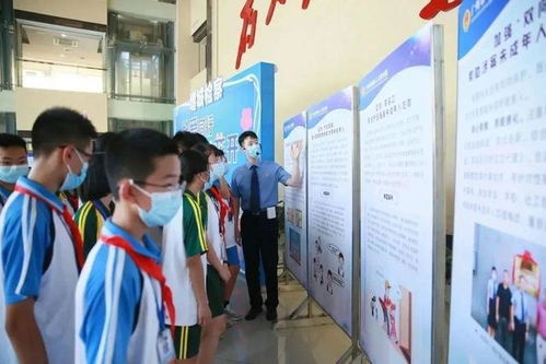 法治教育：孩子们在劳动中学习的法治旅程