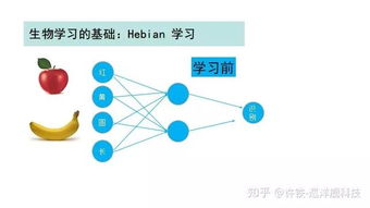 新型人造突触面面世，有望引领类脑计算发展

优化后的科学家发现新型人造突触面，或将改变人类与计算机的交互方式。有望推动类脑计算系统的发展