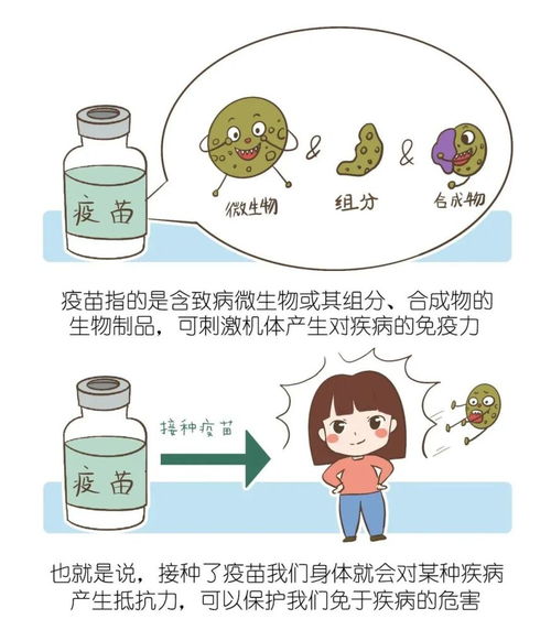 世界免疫周：成年人接种疫苗，保护您的健康和生活!