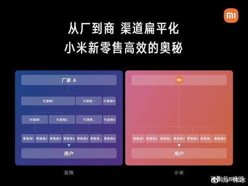 林晶珂：Z世代正在挑战线性消费模式