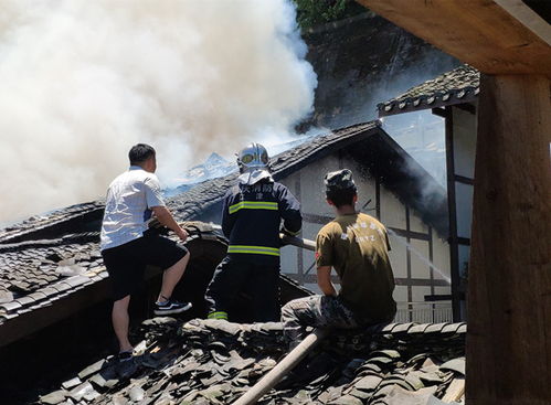 探寻历史，重新燃起英雄之火——王艾甫与84份阵亡通知书的神秘故事