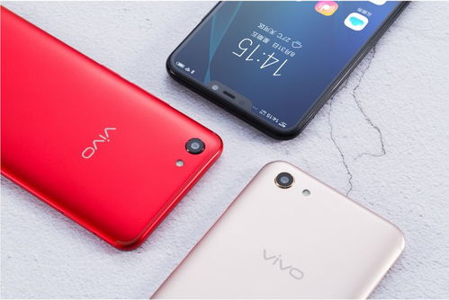 新款 vivo X100s 明星版发布，创新 AI 人脸变换四季人像照片！