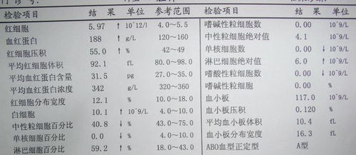 【血常规三个异常提示：警惕肝硬化脾大的预警信号！】