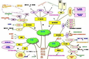 数学老师的最爱：逻辑思维型星座的神秘面纱