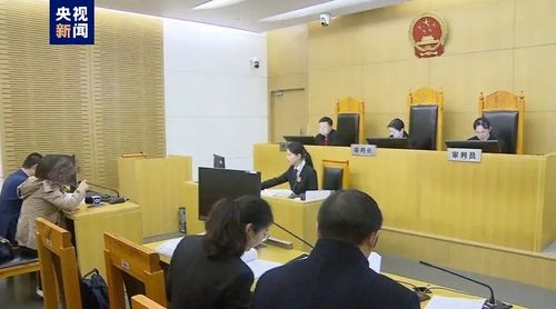 女子因值机起冲突遭拒载，法院判决：航空公司需承担全部责任