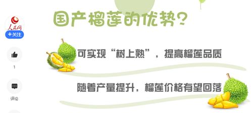 国产榴莲颠覆市场定价观念：价格高时敢卖1000元/个，凭什么进口的更贵?