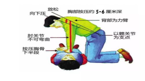 郑州增设心肺复苏考核项目，学生家长反应设备问题致部分失分

关注郑州新添心肺复苏考试项目：家庭顾虑引发的关注点解析