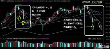 指数冲高后注意回调风险：波动不应回避，理性看待才是关键