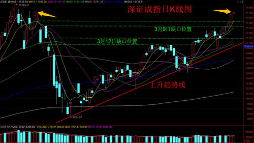 指数冲高后注意回调风险：波动不应回避，理性看待才是关键