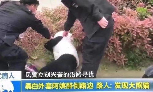 周鸿祎何以其无人不知的秘密将前妻迈巴赫卖至亿元？解读背后的深层含义