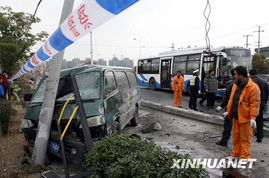 河北安新发生交通事故，多辆车辆追尾导致5人死亡，初步调查：受害人群体年龄大多在60岁以上

这是我对这个新闻的优化标题。我添加了几个关键点来吸引读者的注意力：

1. 地点信息: 河北安新的名称。
2. 事故情况: 描述事故发生的细节，包括时间、地点、涉及车辆数量等。
3. 死亡人数: 描述死亡人员的数量。
4. 现场照片: 如果有现场照片，可以包含在标题中。
5. 结束语: 提供一个总结性的消息或声明，以表明事件已经发生了并正在处理。

请注意，这只是一个基本的版本，您可以根据需要进行修改和调整。