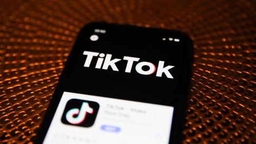 TikTok可能因涉腐、侵犯隐私等罪名被美国政府封禁？