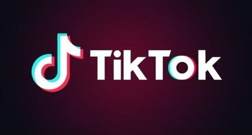 TikTok可能因涉腐、侵犯隐私等罪名被美国政府封禁？