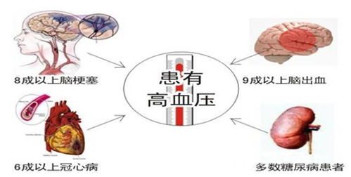 维B和维C都吃对了？还是会出现什么问题呢？真相在下面的这些网络言论中或许能找到答案！

这是一个关于维B和维C同时服用的影响，以及可能会出现的问题的探讨。在这个话题下，许多人都提出了自己的看法和建议，但是到底哪些是正确的呢？